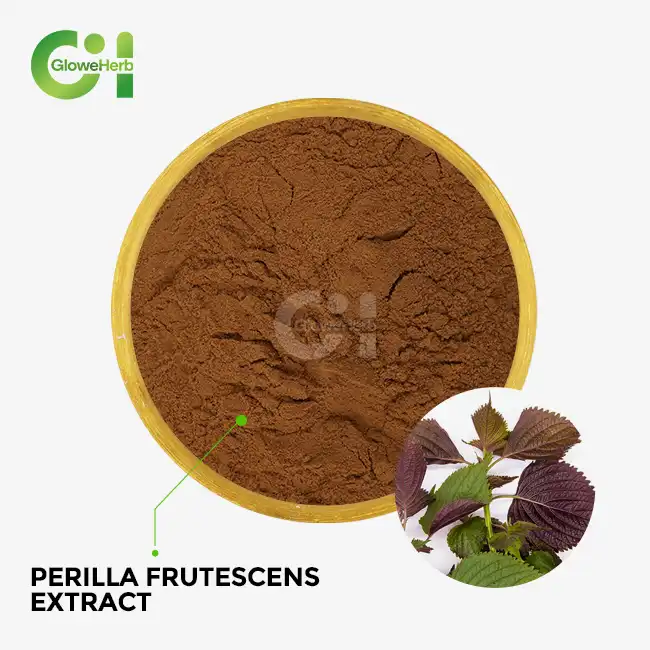 Perilla frutescens extract